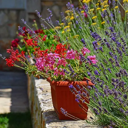 Apartament Tara-2 By Interhome *