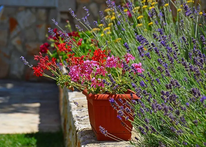 公寓 Tara-2 By Interhome *